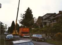 A crane is lifting a tree from a residential street, with parked cars and houses visible in the background.