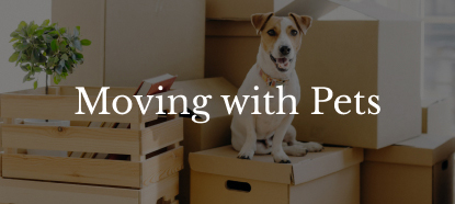 moving with pets