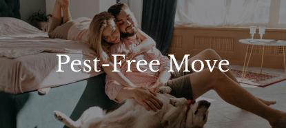 free move